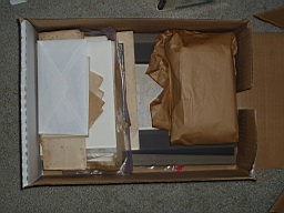 P1000879.JPG